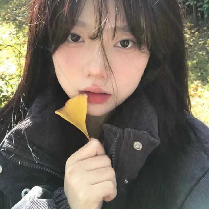 欢喜拍档
